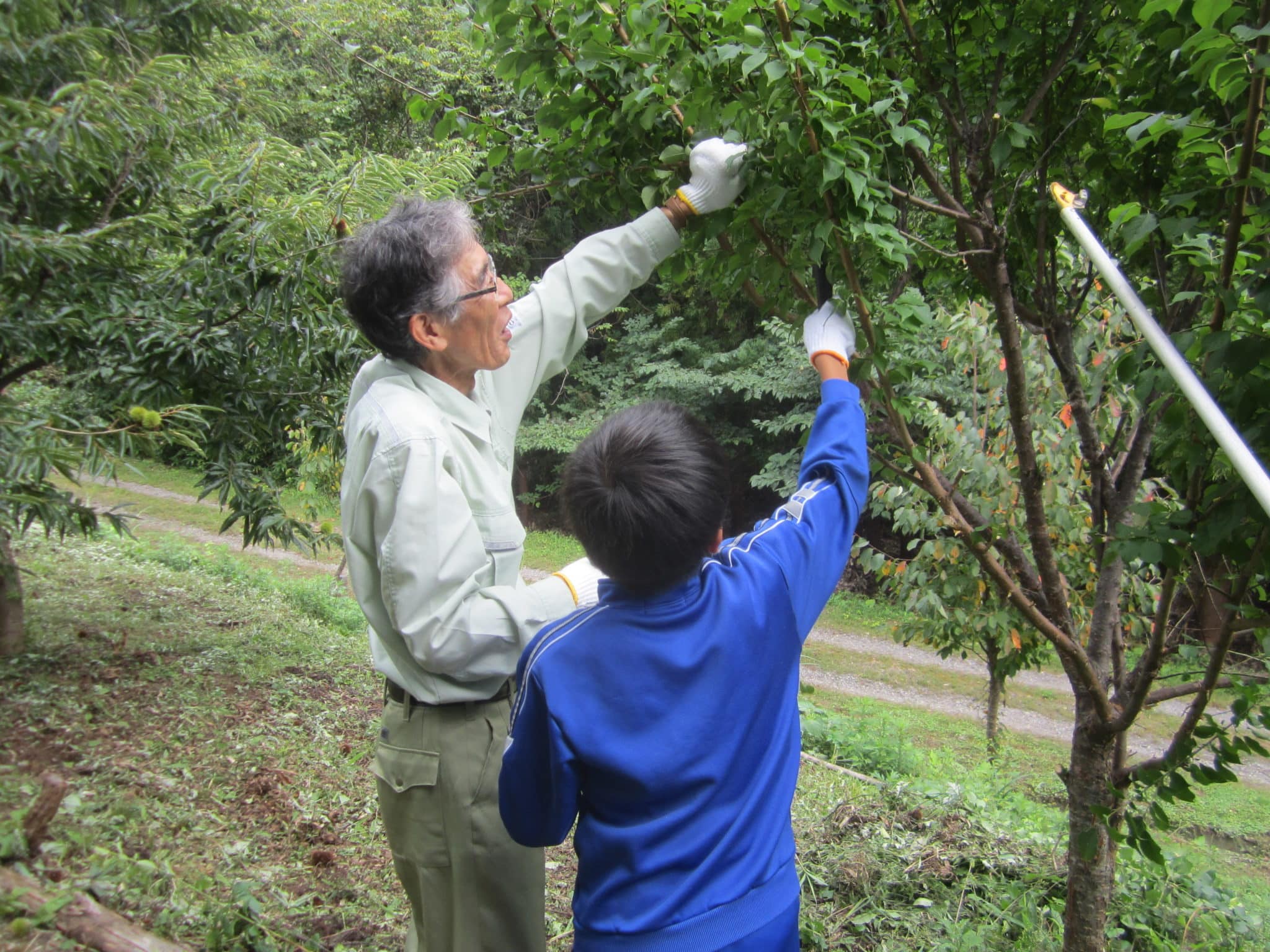 「和光の森」育成イベント