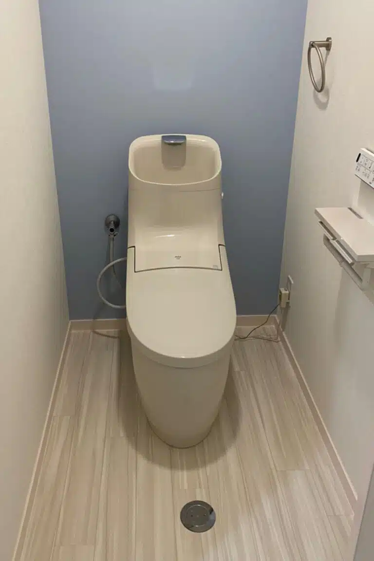 toilet-a2