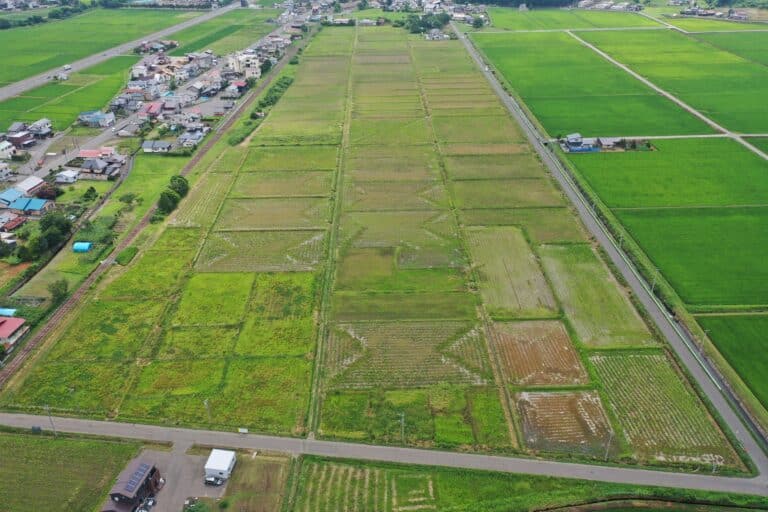 R6.7月　平舘駅側